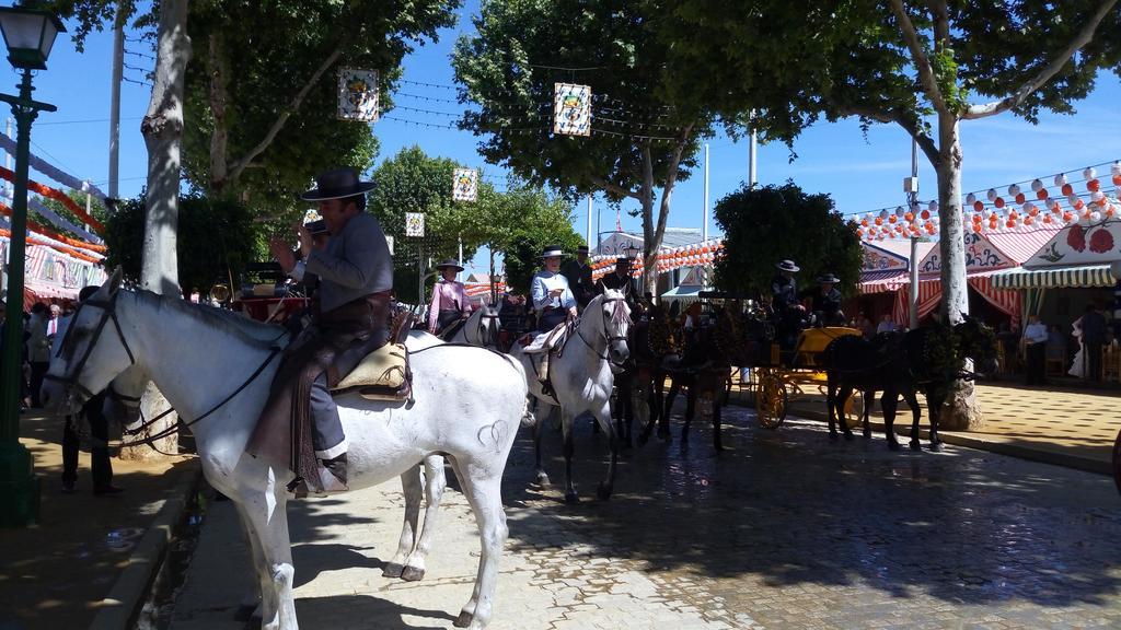 Trotamundos Sevilla